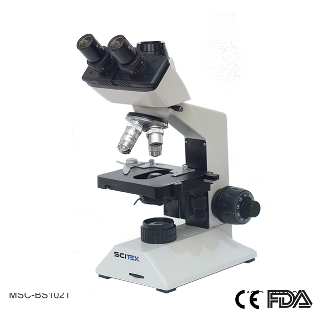 Biological Microscope (Trinocular Head)