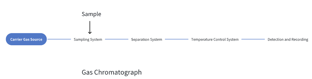 Basic Principles of Gas Chromatography