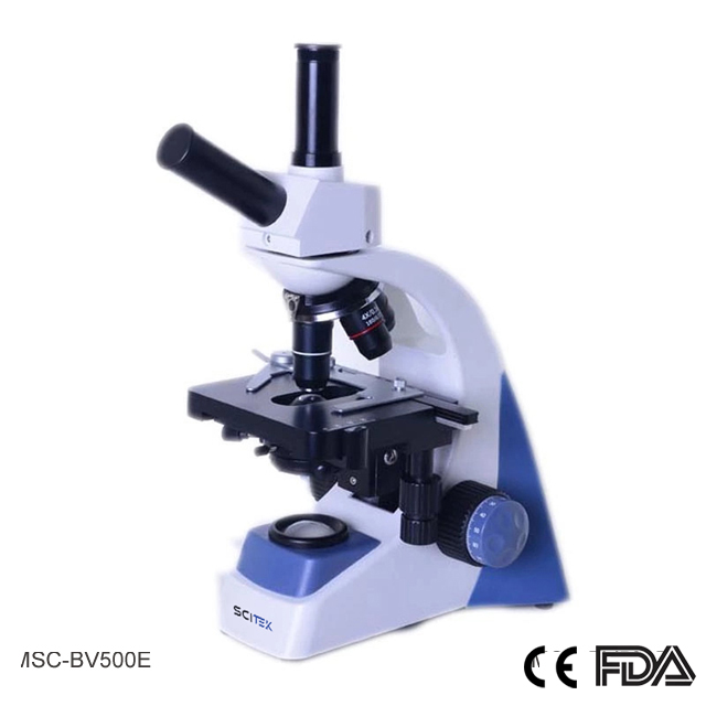 Economic Biological Microscope