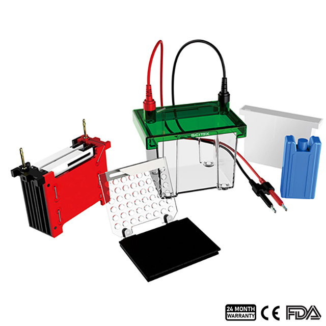 Transfer Electrophoresis Tank