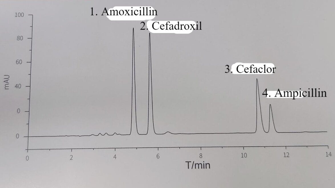 dx-amoxicillin (1)