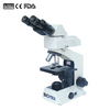 Fluorescence Microscope, Seidentopf Binocular Head