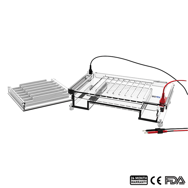 Horizontal Electrophoresis Tank ET-H04