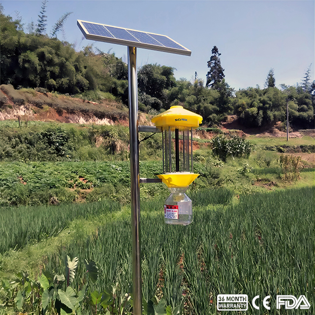 Solar Power Frequency Pest Killing Lamp