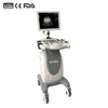 Full-digital Black and White Ultrasound Scanner