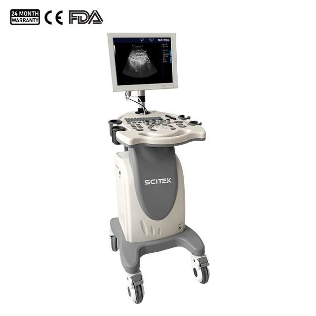 Full-digital Black and White Ultrasound Scanner