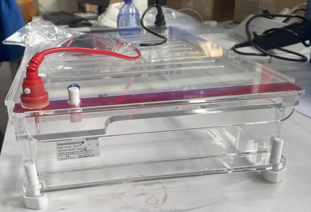 Horizontal Electrophoresis Tank