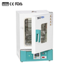 Vertical Electric Heating Drying Oven