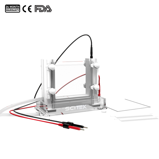 Vertical Electrophoresis Tank ET-V02