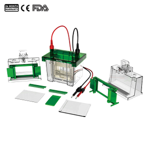 Vertical Electrophoresis Tank