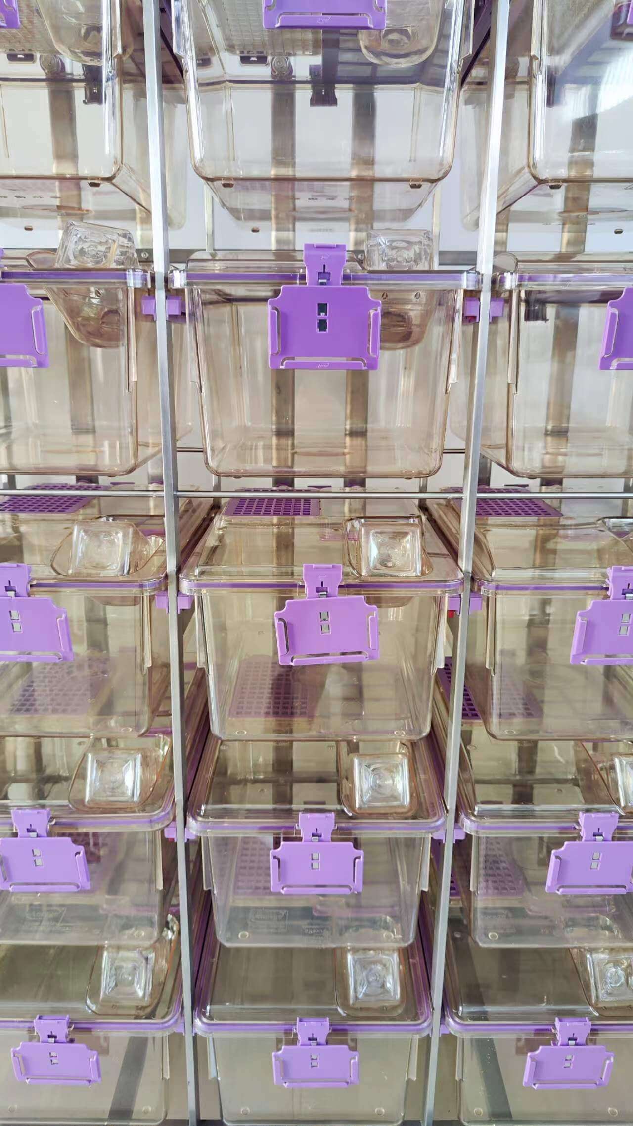 IVC CAGE BOX (3)