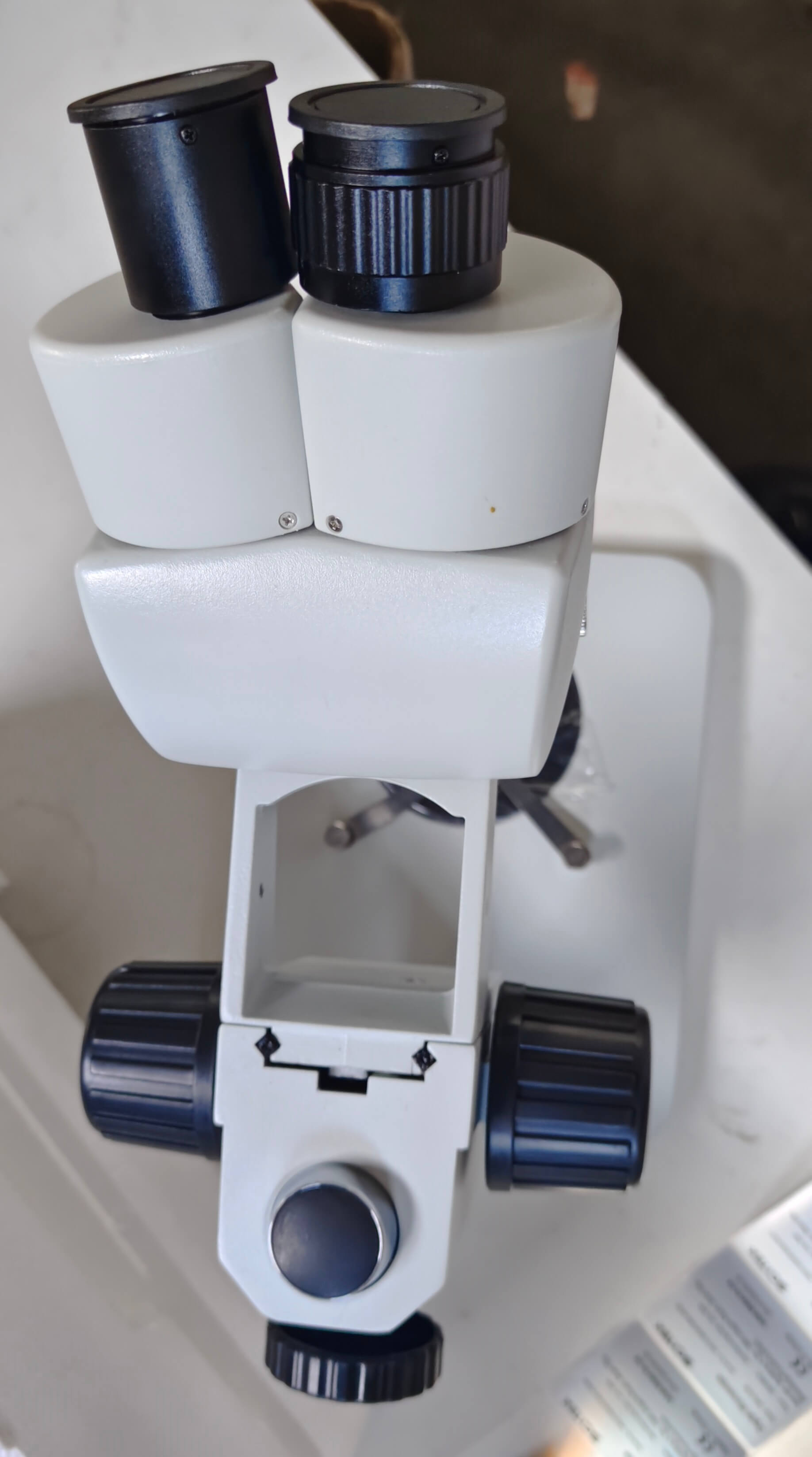 Stereo Microscope