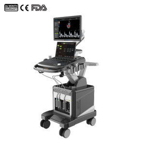 Doppler Ultrasound Diagnostic Instrument