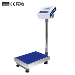 Electronic Platform Scale