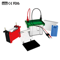 Transfer Electrophoresis Tank