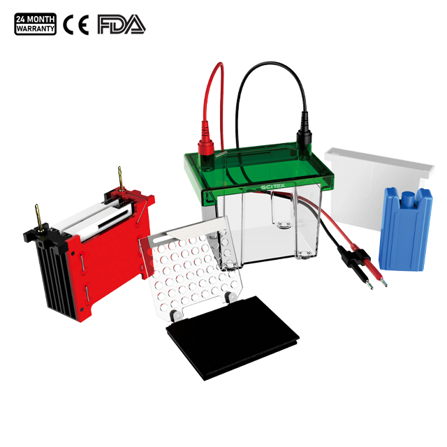 Transfer Electrophoresis Tank