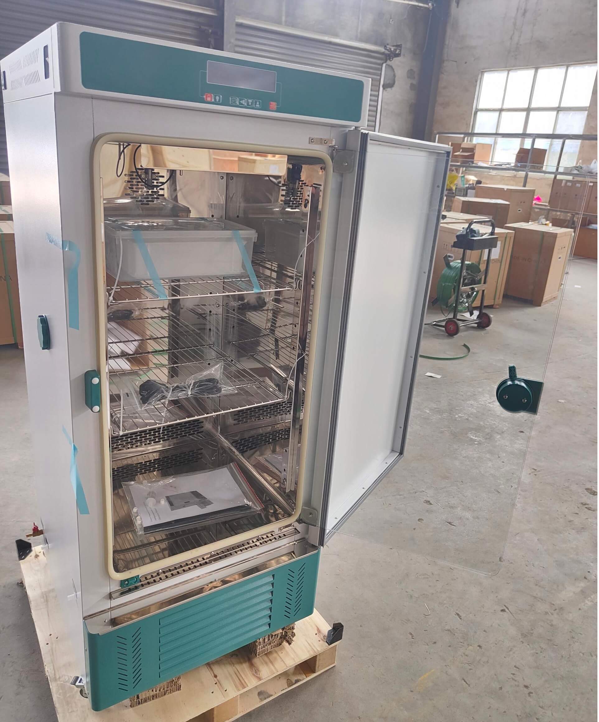 Thermostatic Incubator