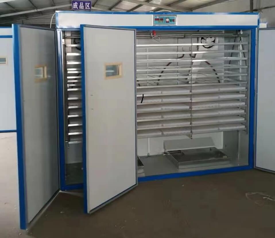 automatic egg incubator