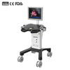 Full-digital Black and White Ultrasound Machine