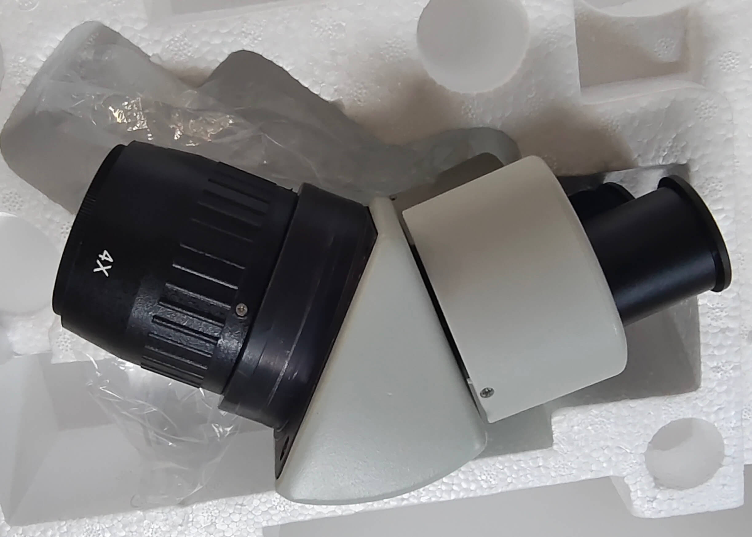 Stereo Microscope