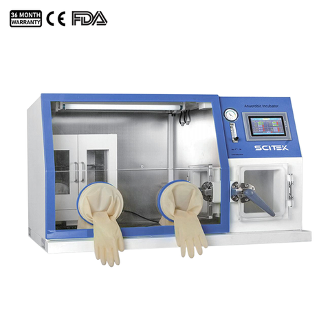 Anaerobic Chamber, ICB-3ANII