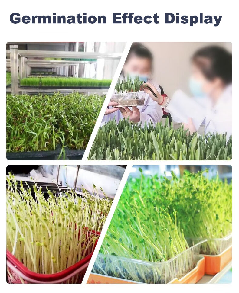 plant grown incubator-2