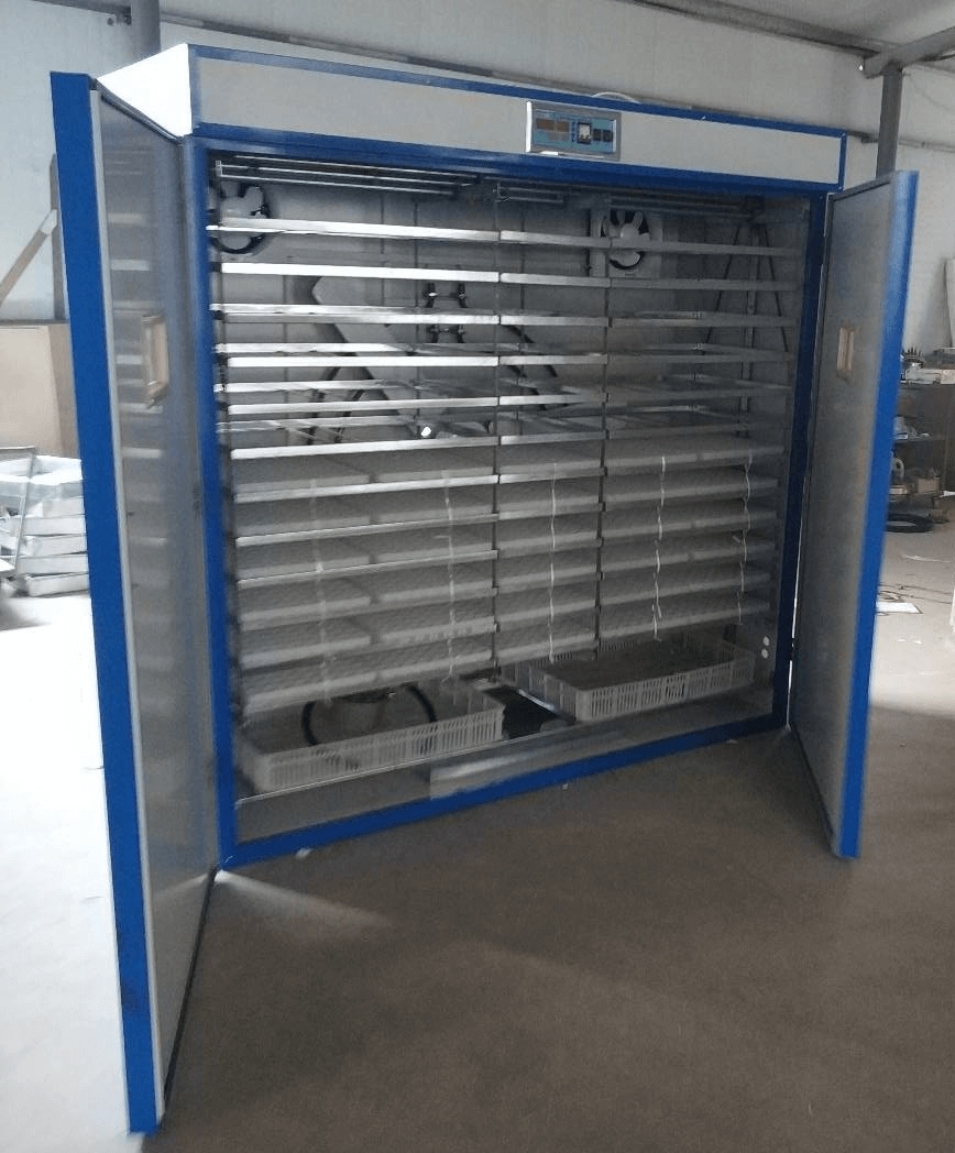 automatic egg incubator