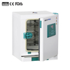 Thermostatic Incubator