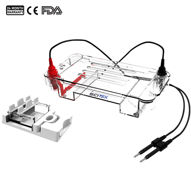 Horizontal Electrophoresis Tank