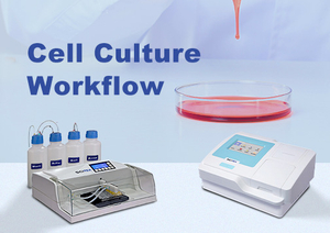 Cell Culture.jpg