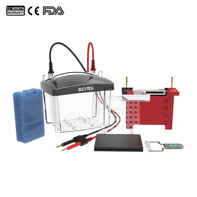 Transfer Gel Electrophoresis Tank