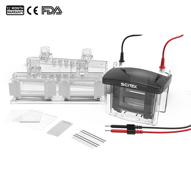 Vertical Gel Electrophoresis Tank