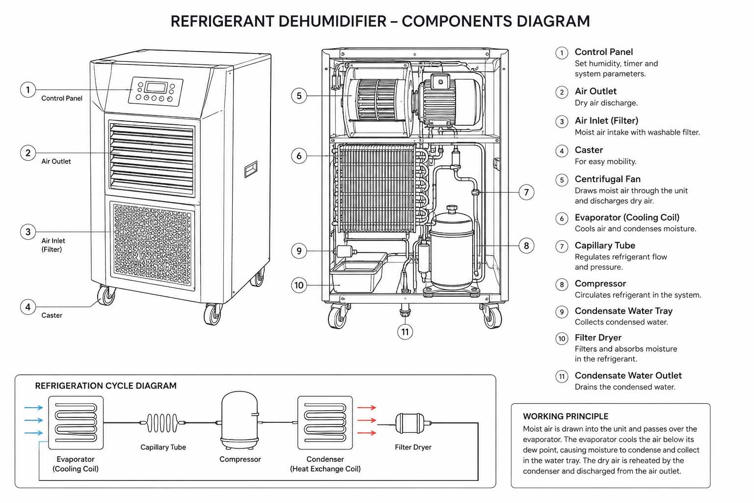main components of a refrigerant-based dehumidifier-1.jpg