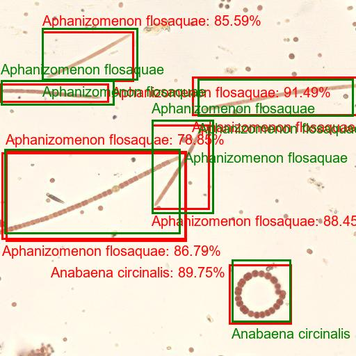 AI&nbsp;Phytoplankton&nbsp;Analyzer.png