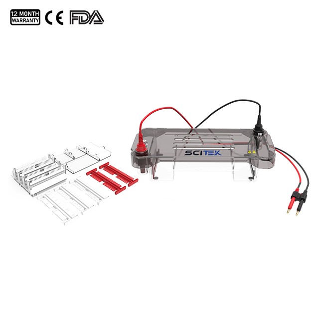 Horizontal Gel Electrophoresis Tank