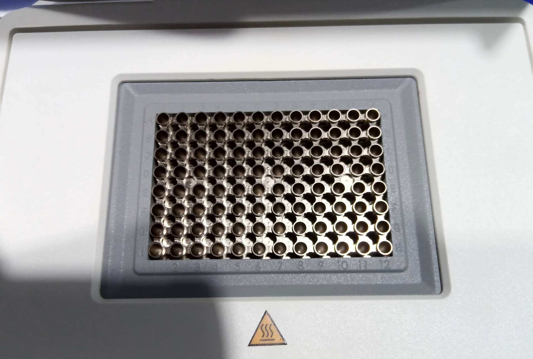 Thermal Cycler (6) Thermal Cycler (6)