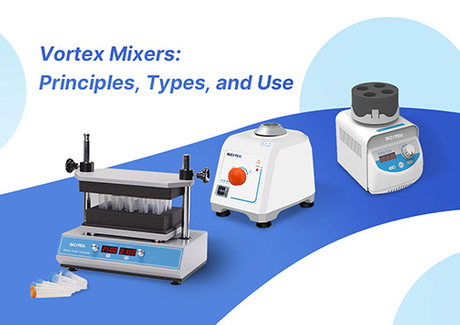 Ultimate Guide to Vortex Mixers: Uses, Principles and Types