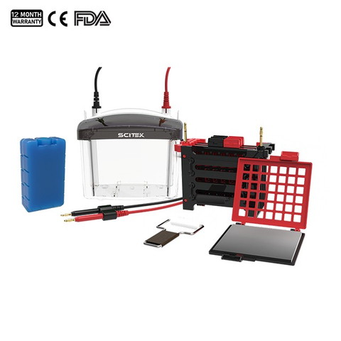Transfer Gel Electrophoresis Tank
